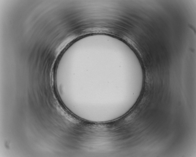 X0000102411082200808221906