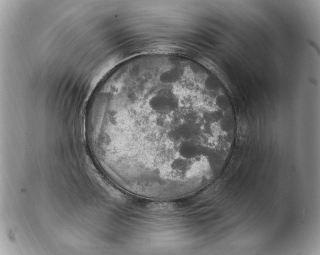 X0000102411083200808221906