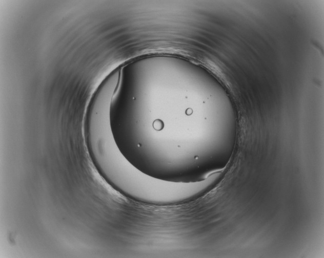 X0000102411084200808221906