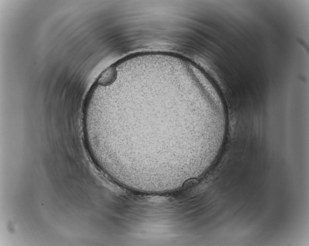 X0000102411085200808221906