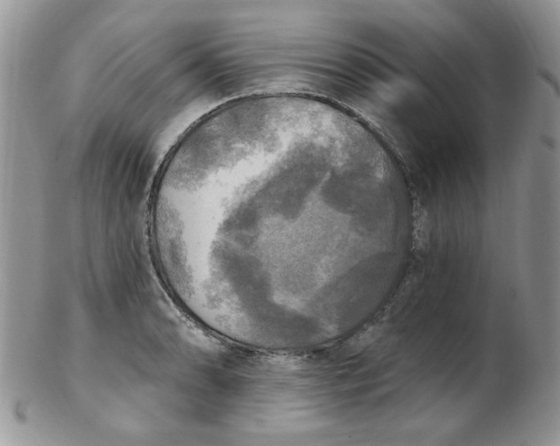 X0000102411086200808221906