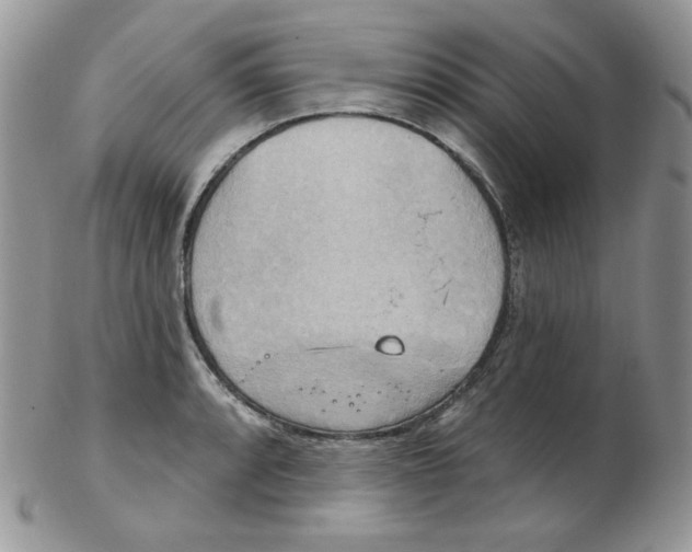 X0000102411088200808221906