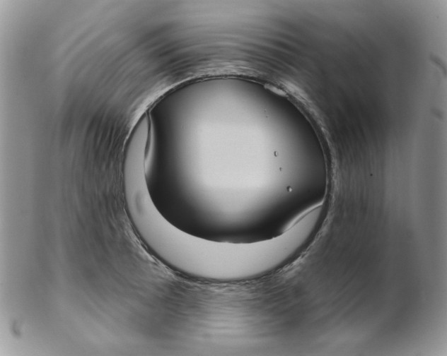 X0000102411089200808221906