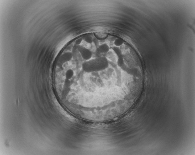 X0000102411091200808221906