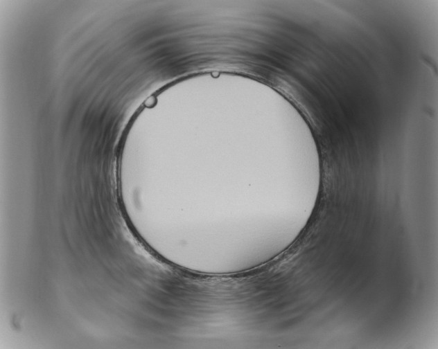 X0000102411092200808221906