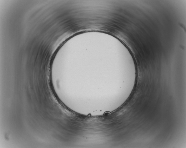 X0000102411093200808221906