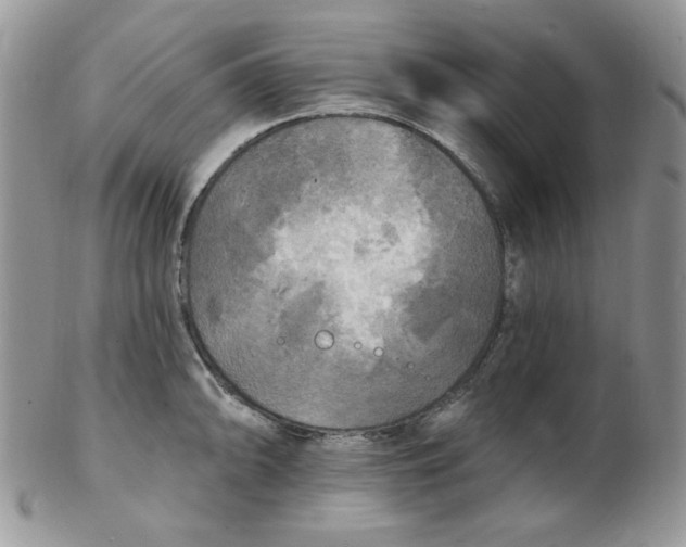 X0000102411094200808221906