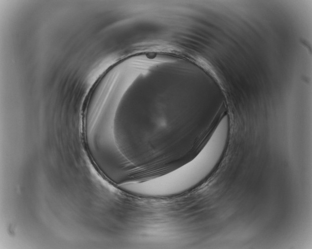 X0000102411095200808221906