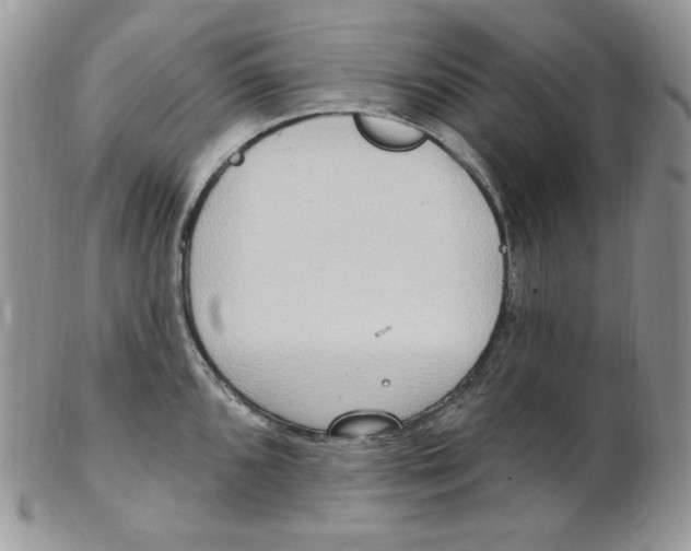 X0000102411096200808221906