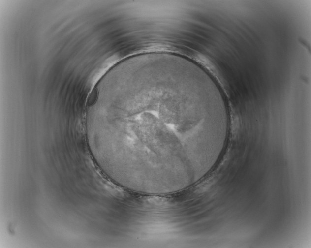 X0000102411097200808221906