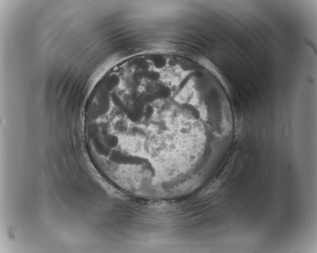 X0000102411099200808221906