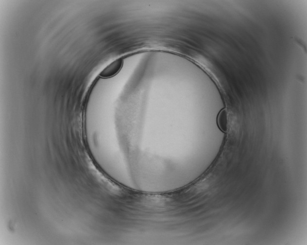 X0000102411100200808221906