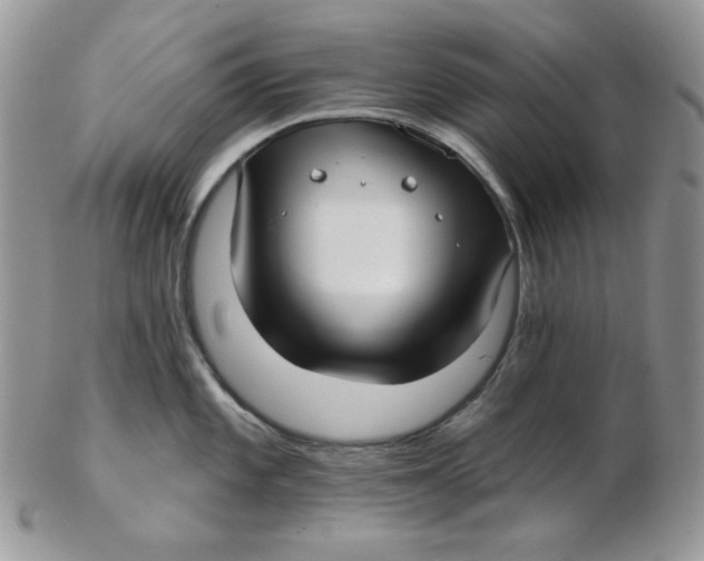 X0000102411101200808221906