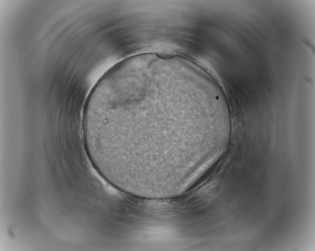 X0000102411103200808221906