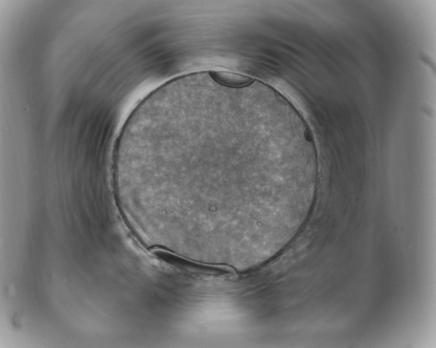 X0000102411104200808221906