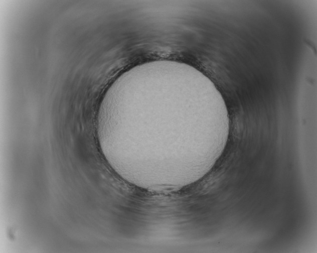 X0000102411105200808221905