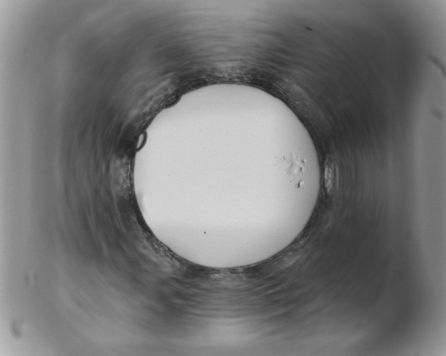 X0000102411107200808221905