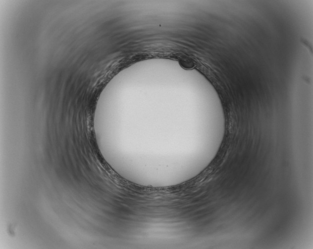 X0000102411108200808221905