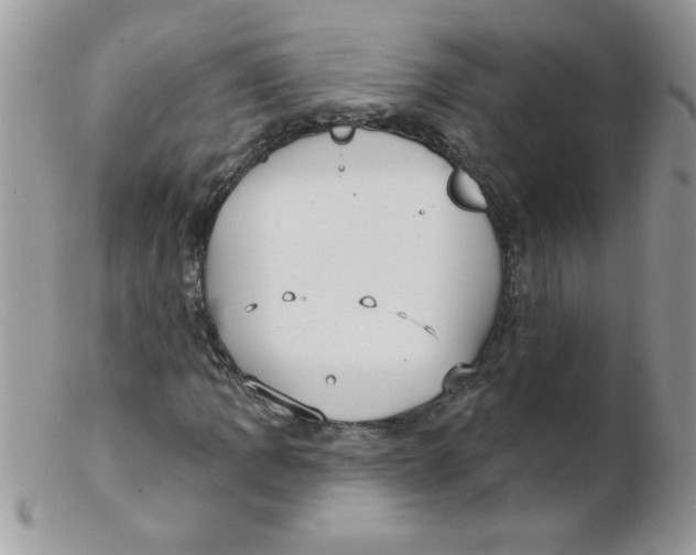 X0000102411109200808221905