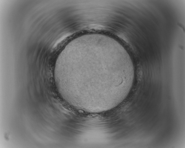 X0000102411112200808221905