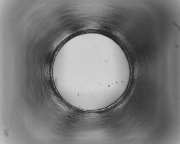 X0000102411113200808221905