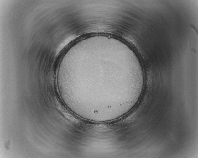 X0000102411114200808221905