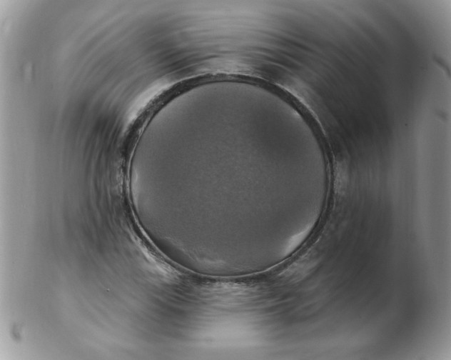 X0000102411115200808221905