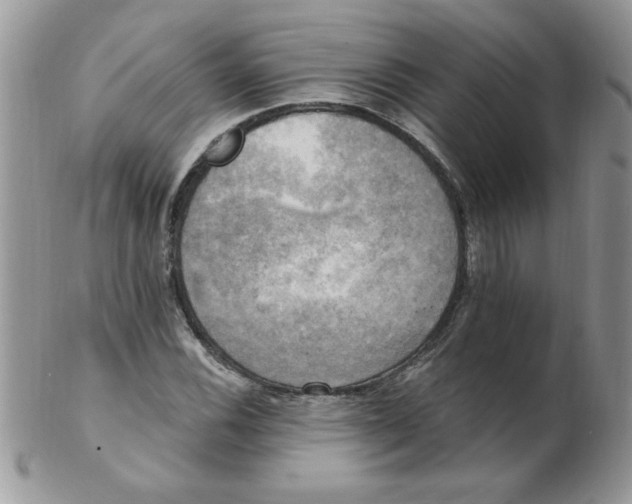 X0000102411116200808221905