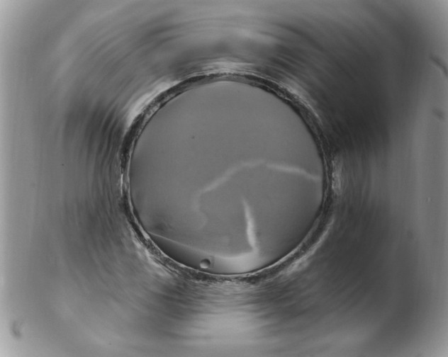 X0000102411117200808221905