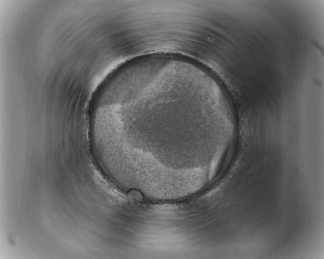 X0000102411118200808221905