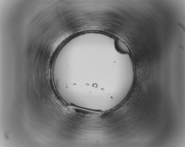 X0000102411119200808221905