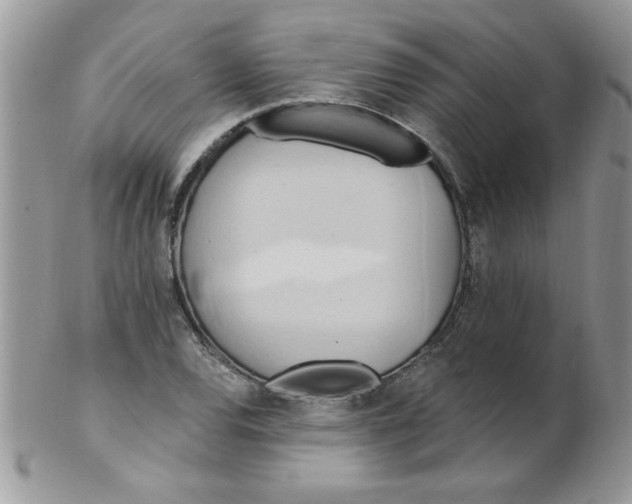 X0000102411120200808221905