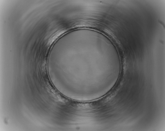 X0000102411121200808221905