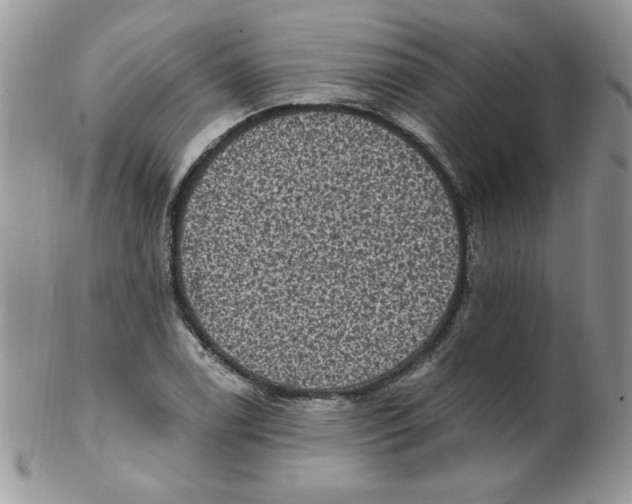 X0000102411122200808221905