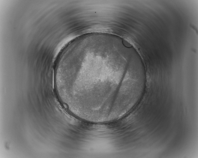 X0000102411123200808221905