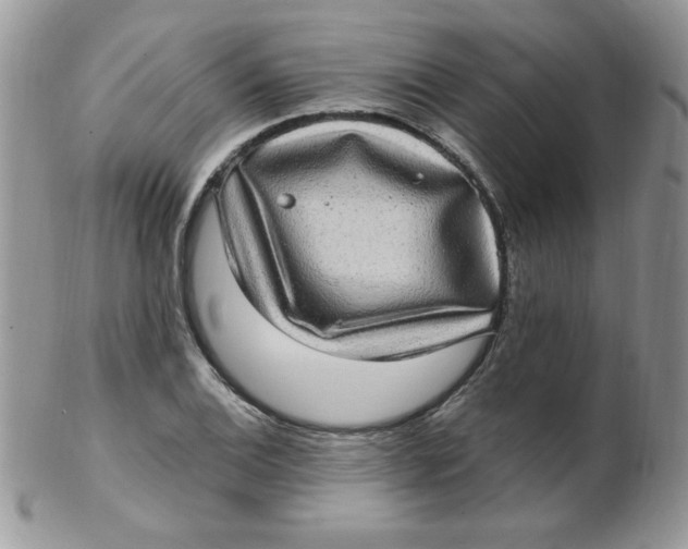 X0000102411124200808221905