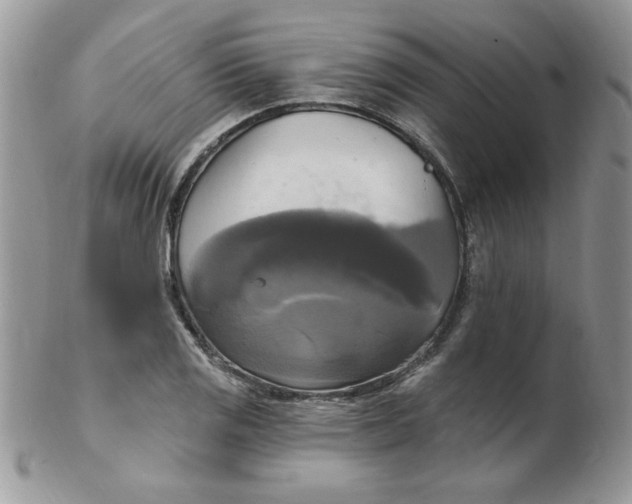 X0000102411125200808221905