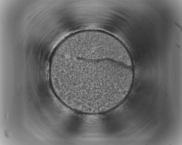 X0000102411126200808221905