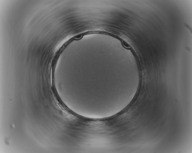 X0000102411127200808221905