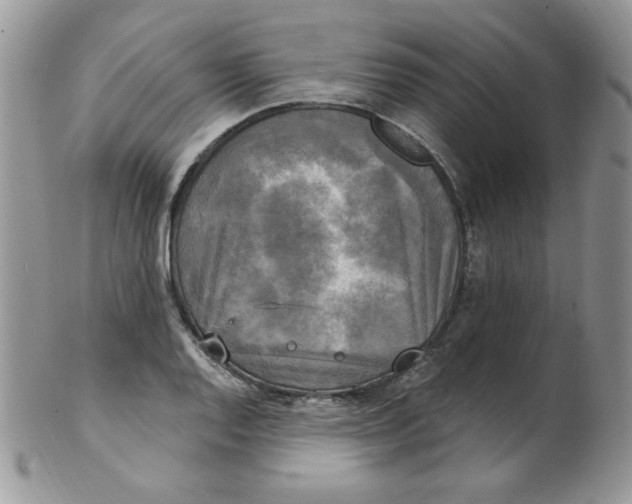 X0000102411128200808221905