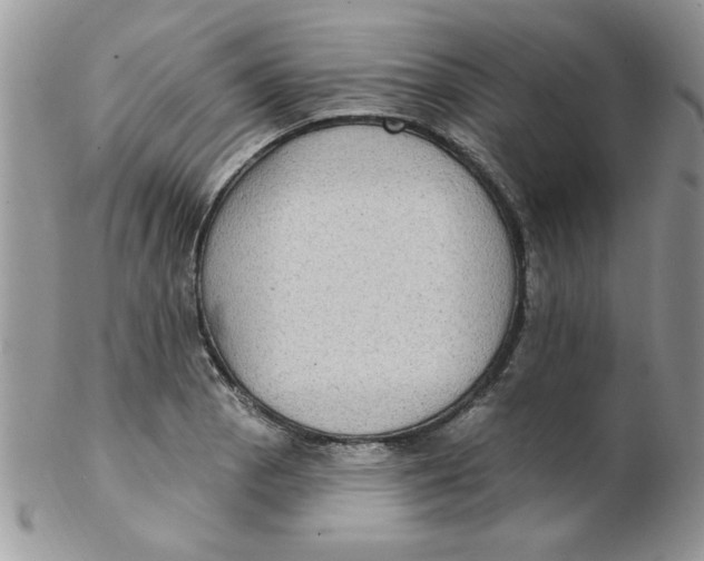 X0000102411129200808221905