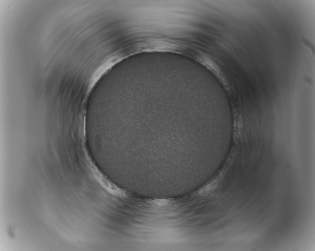 X0000102411130200808221905