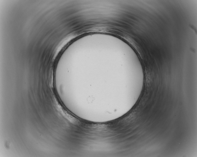 X0000102411131200808221905