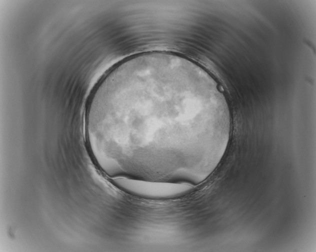 X0000102411132200808221905