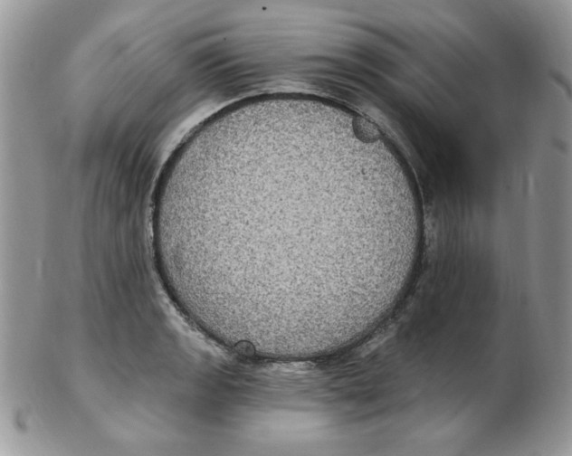 X0000102411133200808221905