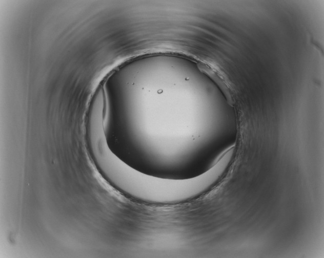 X0000102411134200808221905