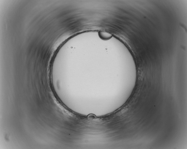 X0000102411135200808221905