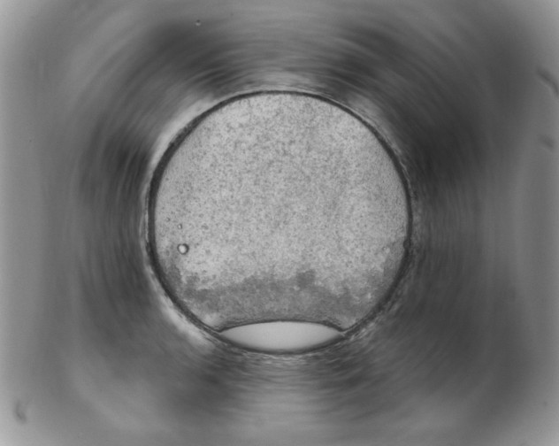 X0000102411136200808221905