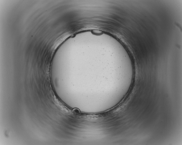 X0000102411137200808221905