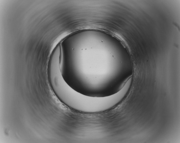 X0000102411138200808221905